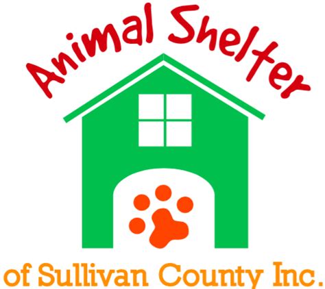 animal shelter blountville|sullivan county animal shelter cats.